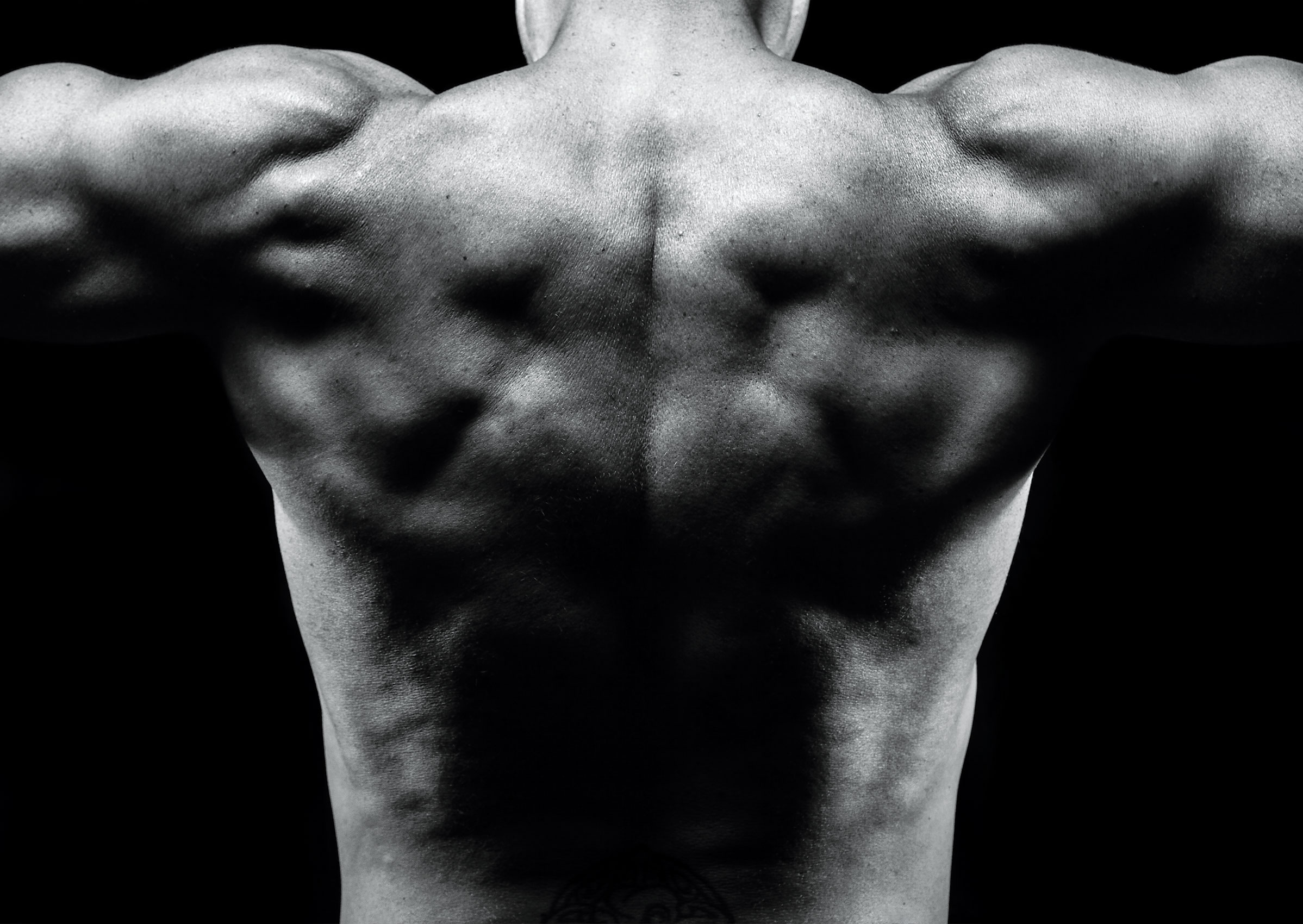 B&W photo of muscular male athlete flexing his back in gym