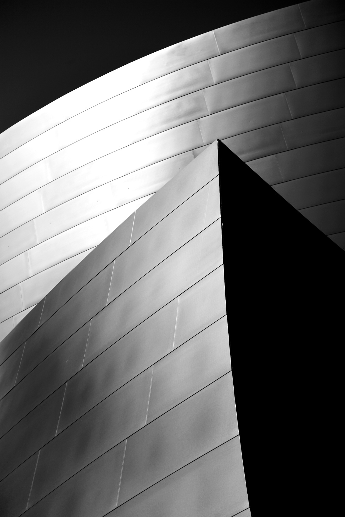 High contract of the walls at the Walt Disney Concert Hall