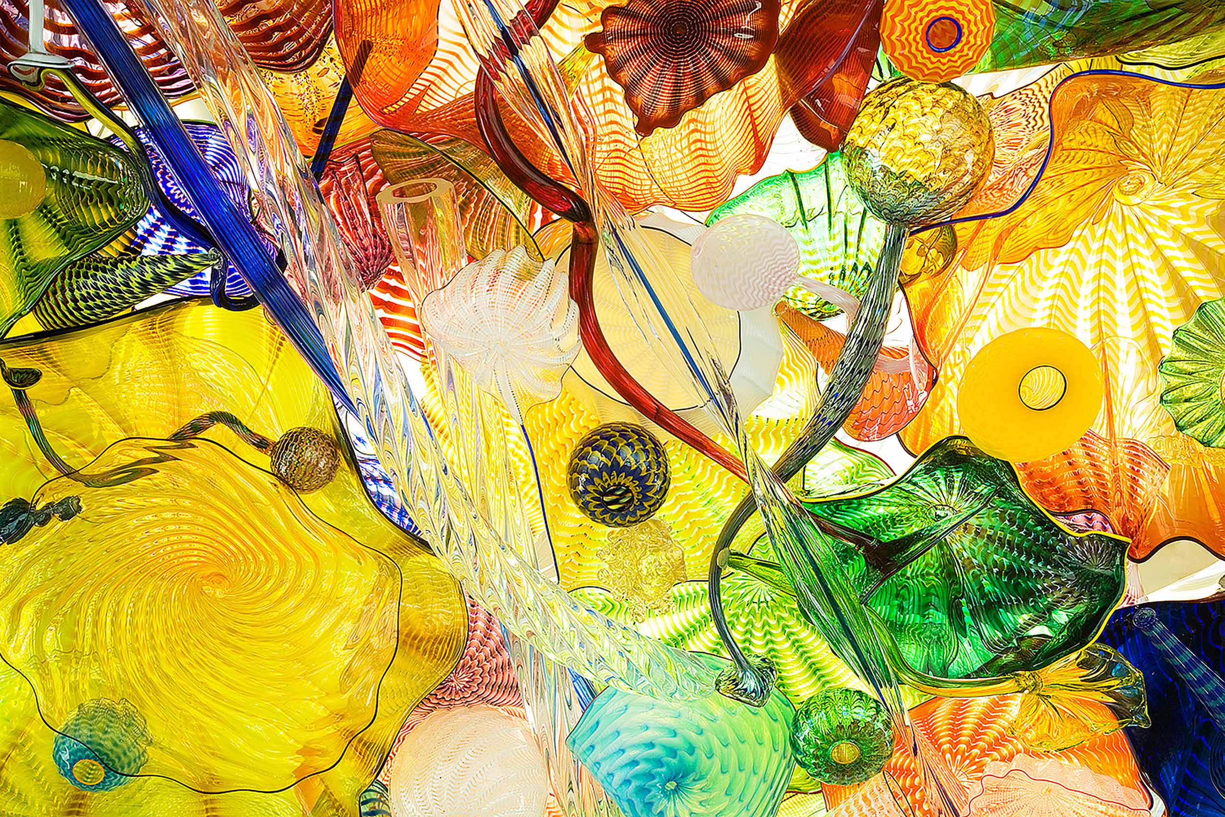 Glass ceiling part of the Dale Chihuly Collection at TAM